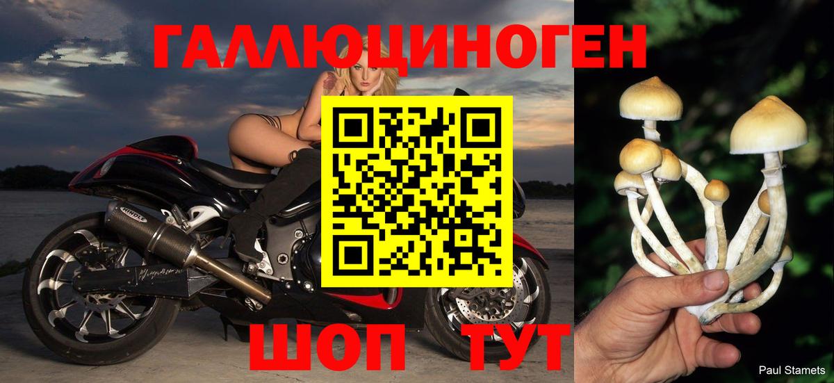 Галлюциногенные грибы Psilocybine cubensis  купить закладку  Вход с VPN  Тольятти  Псилоцибиновые грибы MAGIC MUSHROOMS 